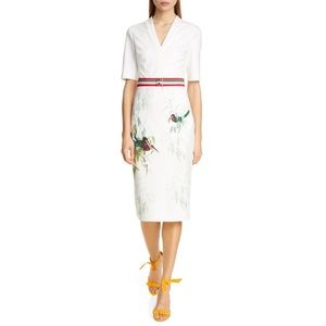 Ted Baker Molilo Tutti Frutti Sheath Dress